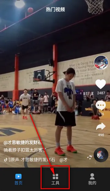 ������Ƶ����