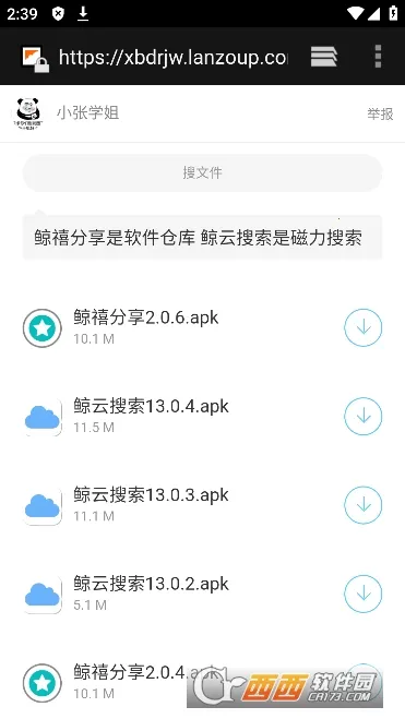 ����������׿���ֻ���v13.1.1 �ֻ����ͼ