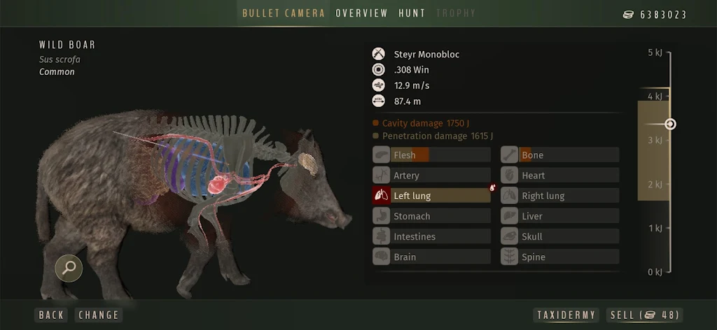 ����֮·����Ұŷ��v1.0.12 �ֻ����ͼ