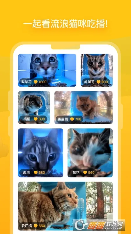 ��èv3.3.0 �ֻ����ͼ