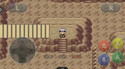 �ڴ������������������ֻ���