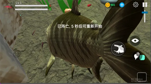 ���״���ɱ������