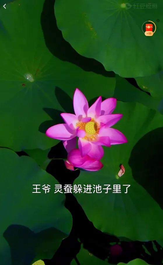 �춹�̾���Ѱ�����