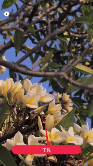 tibni-���ʴ����߷���ƽ̨