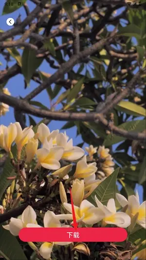 tibni-���ʴ����߷���ƽ̨