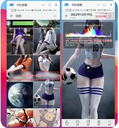 ����Э��������