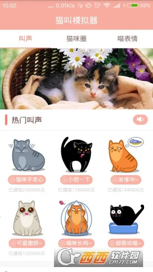 ANeko2026�ٷ�����v1.5.1 ��׿���ͼ