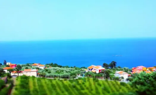 B12���2026���ذ�װ