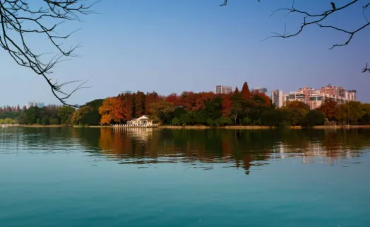 B12���2026���ذ�װ