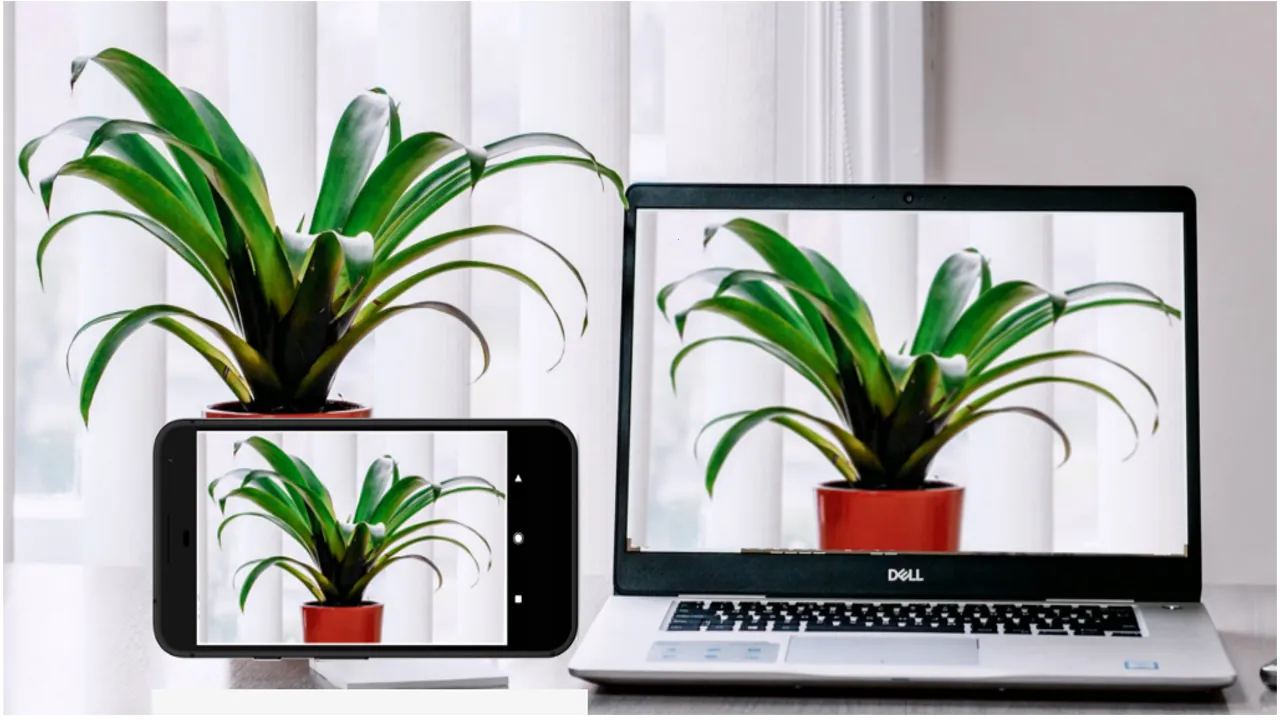 Iriun Webcam2026���°汾v2.8.12 ��׿���ͼ