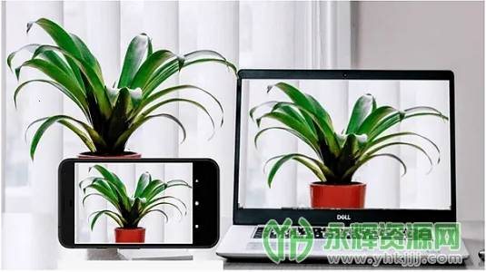 Iriun Webcam2026���°汾