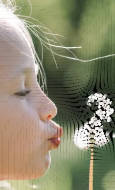 ��������ģ��2026���°汾v0.981 �ֻ����ͼ