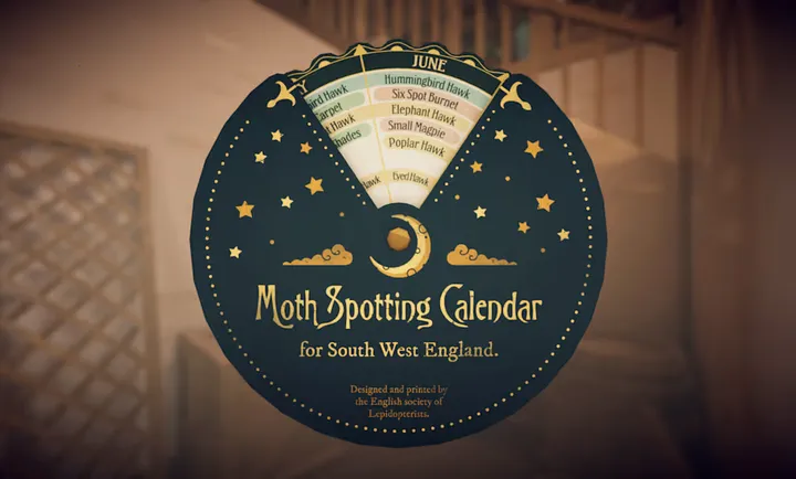 ��̹��ׯ԰��׿���ֻ���v1.0.2 �ֻ����ͼ