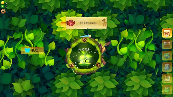 ������������������