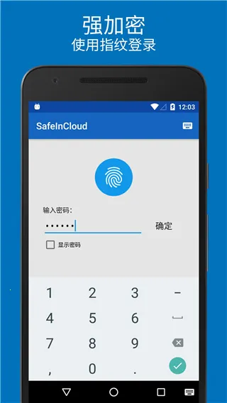 safeincloud 25.0.12 safeincloud 25.0.12