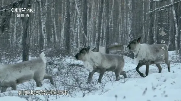 �ҵĵ���APP���Ӱ�����v1.1.0 ��׿���ͼ