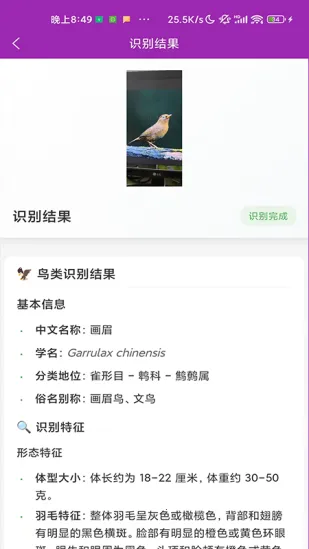 ʶ��2026���ذ�װv1.1.0 �ٷ������ͼ