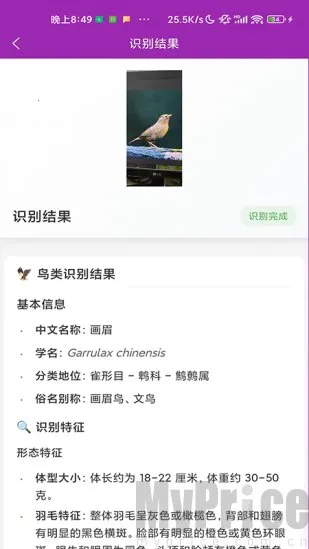 识鸟2026下载安装 识鸟2026下载安装