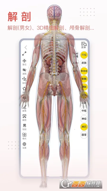 3dbody�����ƽ��v8.8.72 �ֻ����ͼ