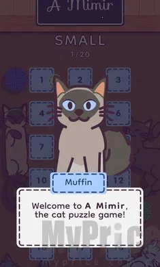 密米尔2026官方最新版本 密米尔2026官方最新版本