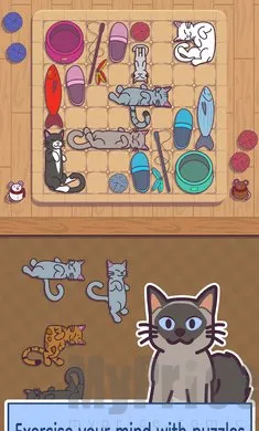 密米尔2026官方最新版本 密米尔2026官方最新版本