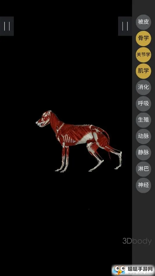 3dbody�������İ�v8.8.72 �ٷ������ͼ