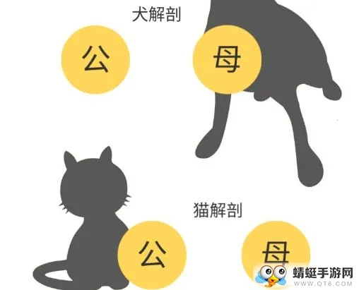 3dbody�������İ�