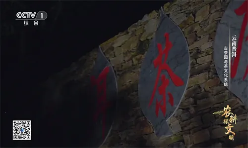 �ҵĵ���TV���°�v1.1.0 �ֻ����ͼ