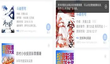 ����èС˵(С˵�Ķ�����)