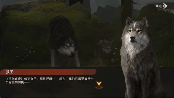 ��������(����Ľ�ɫ��������)