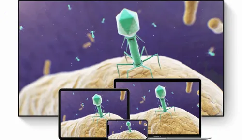 ��ѧԺ(����ѧϰ����)