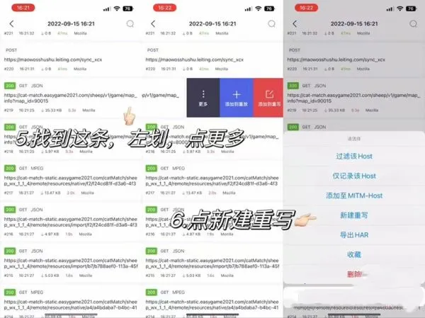 stormsnifferץ������