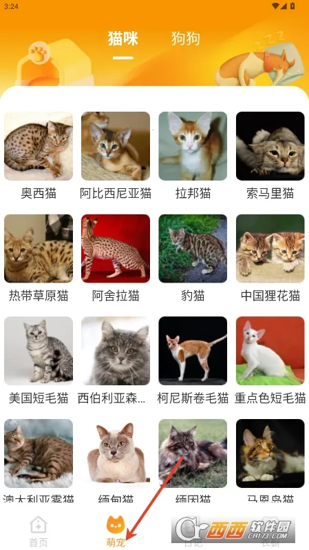 Ԫ����ֽƽ�������v2.0.5 ��׿���ͼ