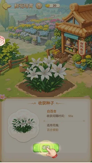 �ҵĻ�԰�����ƽ��