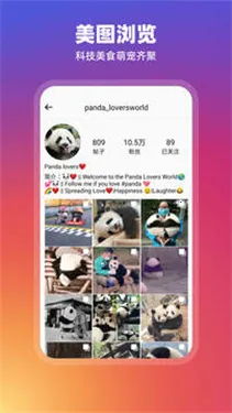 Instagram2026�ٷ�����v398.1.0.53.77 ��׿���ͼ
