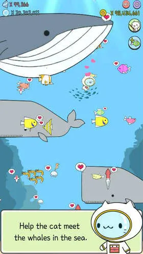 ˮ��è���İ�(��������������Ϸ)v1.0.1 ��Ѱ��ͼ