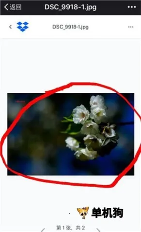 dropbox(�ƴ洢����)