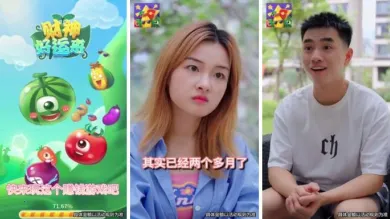 ���������2026���°汾