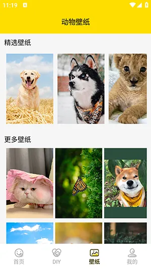 ���ӱ����(�������������)