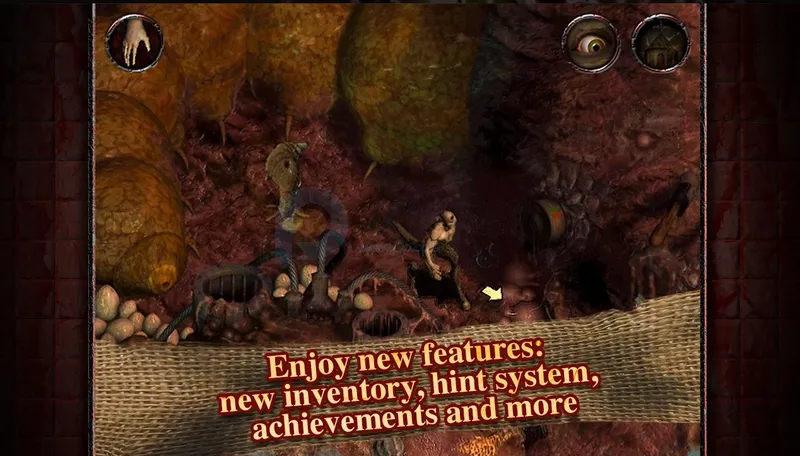 ����ԺSteam��ֲ��(����Ժ������Ϸ)