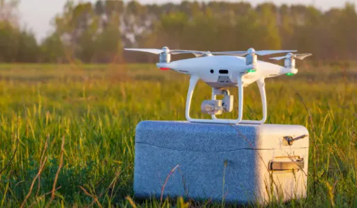 ���̳�2026���°汾