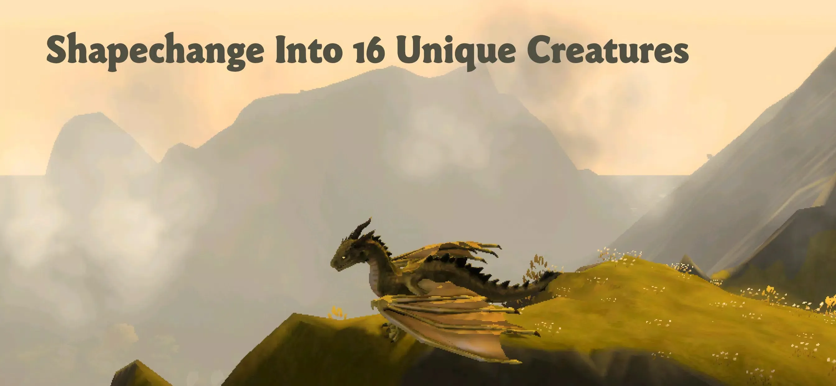 ��Ұ��÷���ƶ�2026���°汾v2.4 �ֻ����ͼ