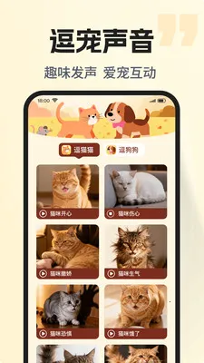 �ȳ�è����ѷ���2026���°汾v1.0.2 ��׿���ͼ