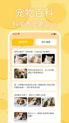 è�������﷭���������ֻ���v1.0.2 ��׿���ͼ