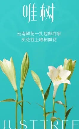 Ψ���ʻ������ֻ���