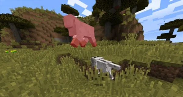 CAT�Ƽ�2026�ٷ�����v1.0 �ֻ����ͼ