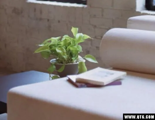 ��Ʒ��(��Ա�Ƶ���ƽ̨)