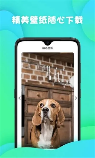 ��׼����2026�ٷ����°汾