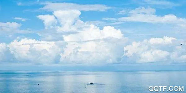 ��׼����2026�ٷ����°汾