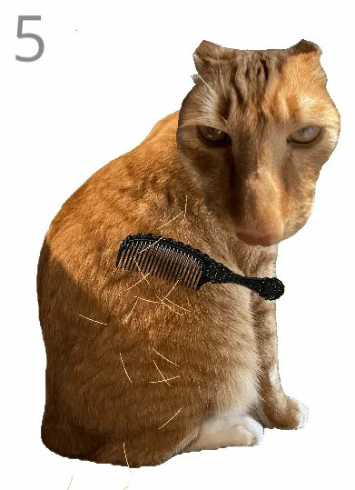 ��è��ë2026���°汾